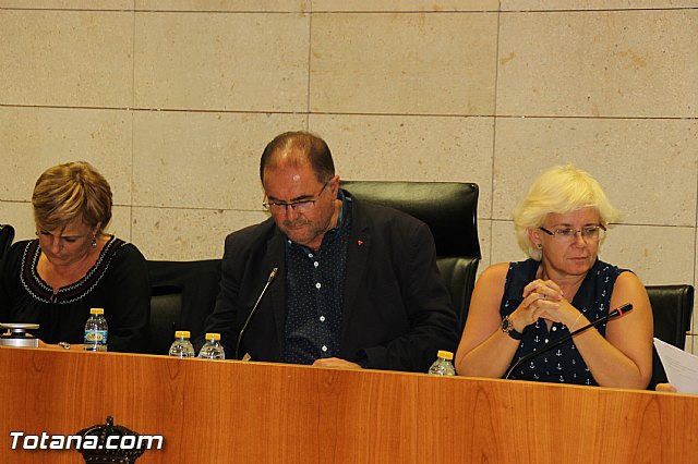 Pleno ordinario septiembre 2016 - 10