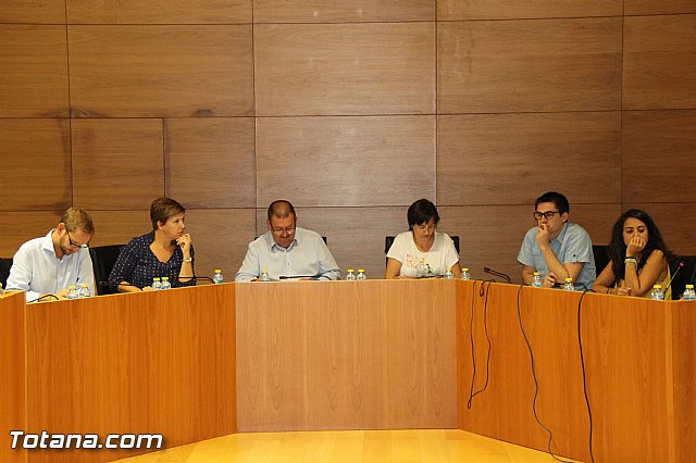 Pleno ordinario septiembre 2016 - 15