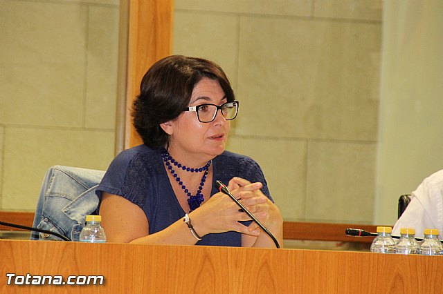 Pleno ordinario septiembre 2016 - 20