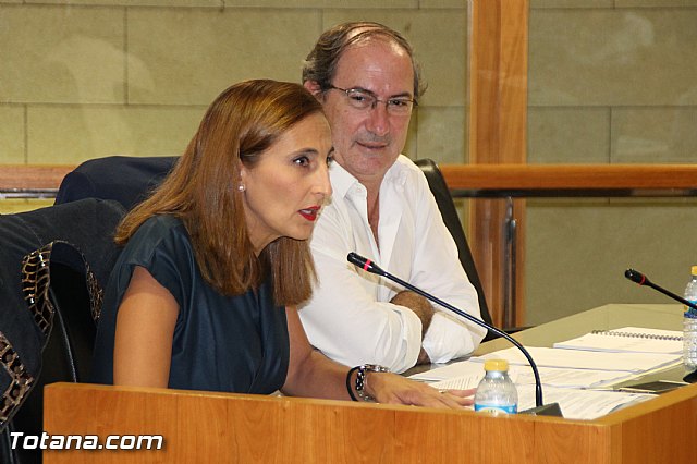 Pleno ordinario septiembre 2016 - 30