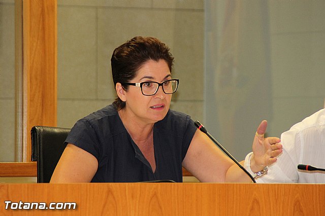 Pleno extraordinario Plan de Ajuste 21/07/2016 - 25