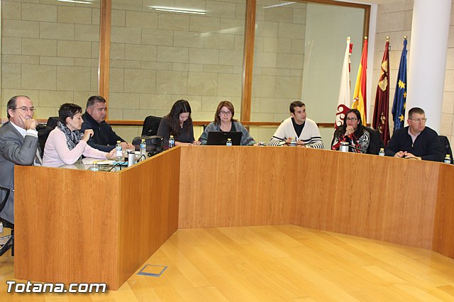 Pleno extraordinario 21/12/2015 - 2