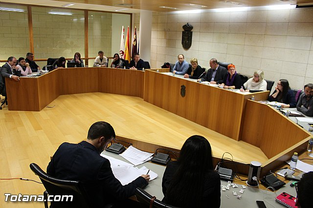 Pleno extraordinario 21/12/2015 - 8