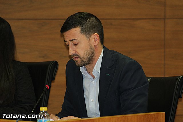 Pleno extraordinario 21/12/2015 - 14