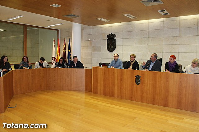 Pleno extraordinario 21/12/2015 - 19