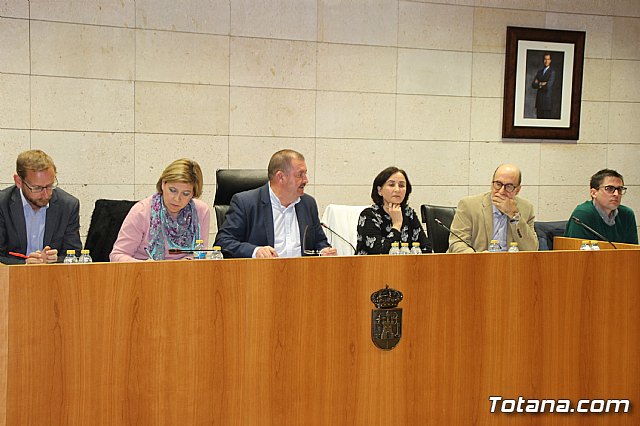 Pleno ordinario noviembre 2017 - 1