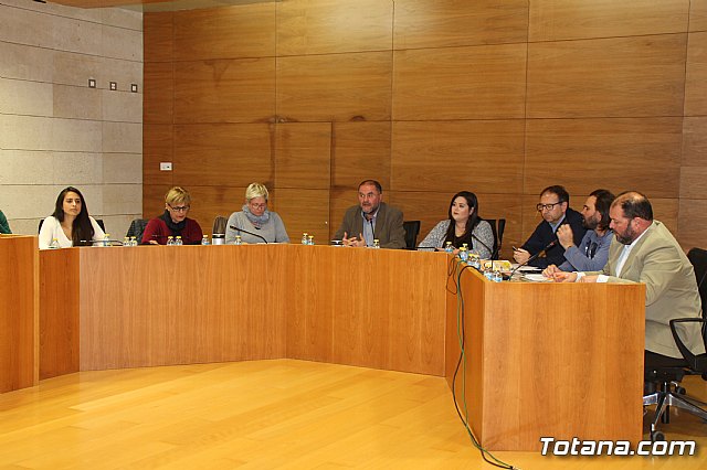Pleno ordinario noviembre 2017 - 2