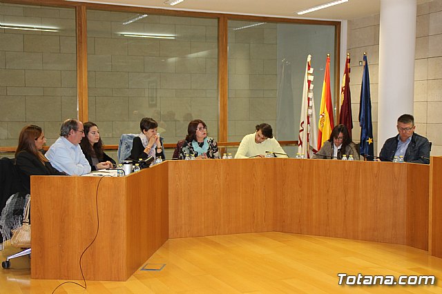 Pleno ordinario noviembre 2017 - 3
