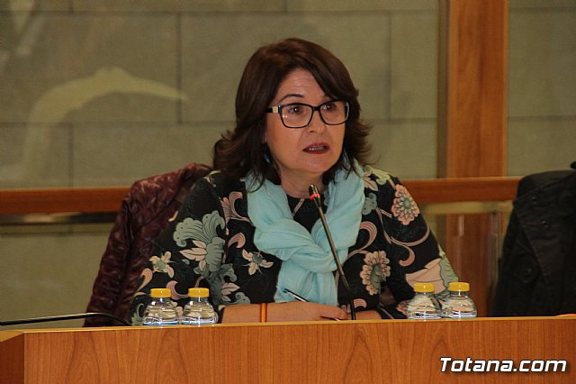 Pleno ordinario noviembre 2017 - 6