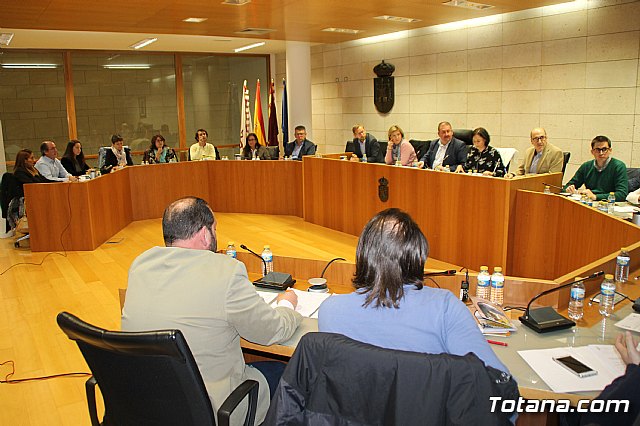 Pleno ordinario noviembre 2017 - 8