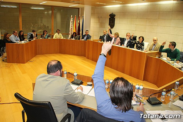 Pleno ordinario noviembre 2017 - 10
