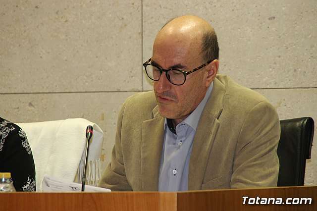Pleno ordinario noviembre 2017 - 11