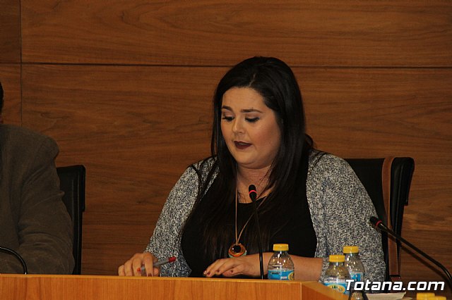 Pleno ordinario noviembre 2017 - 18