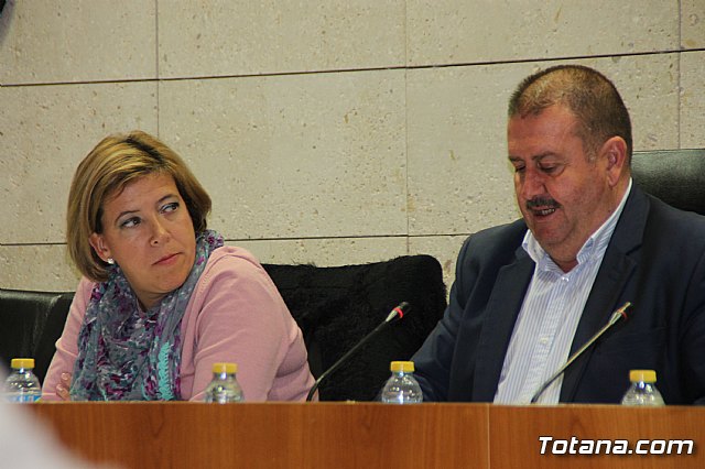 Pleno ordinario noviembre 2017 - 19