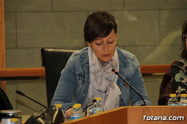 Pleno ordinario noviembre 2017 - 23