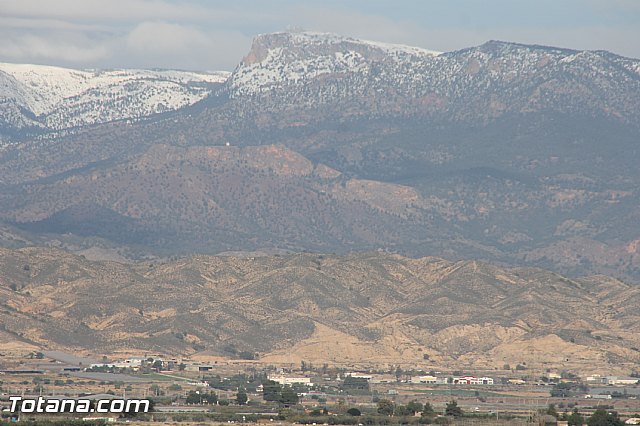 Visita a parrales afectados por la nevada - 6