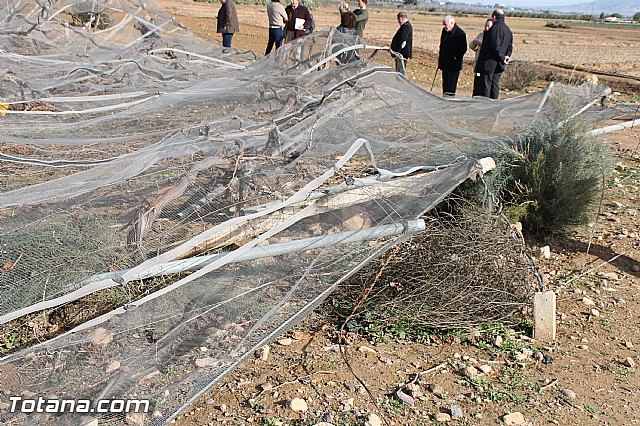 Visita a parrales afectados por la nevada - 13