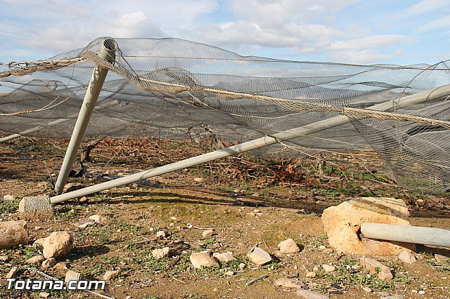 Visita a parrales afectados por la nevada - 14