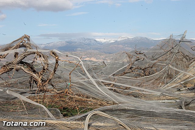Visita a parrales afectados por la nevada - 15
