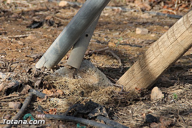 Visita a parrales afectados por la nevada - 19