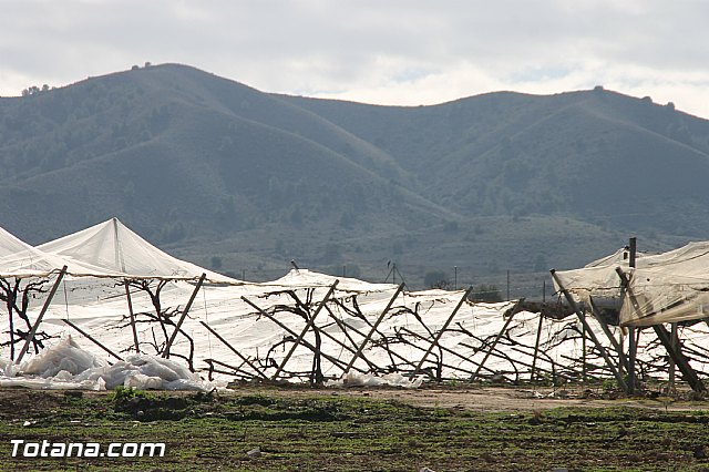 Visita a parrales afectados por la nevada - 26