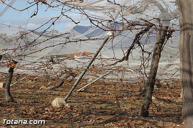 Visita a parrales afectados por la nevada - 27