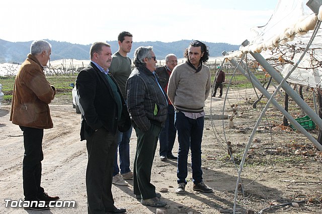 Visita a parrales afectados por la nevada - 35