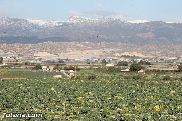 Visita a parrales afectados por la nevada - 43