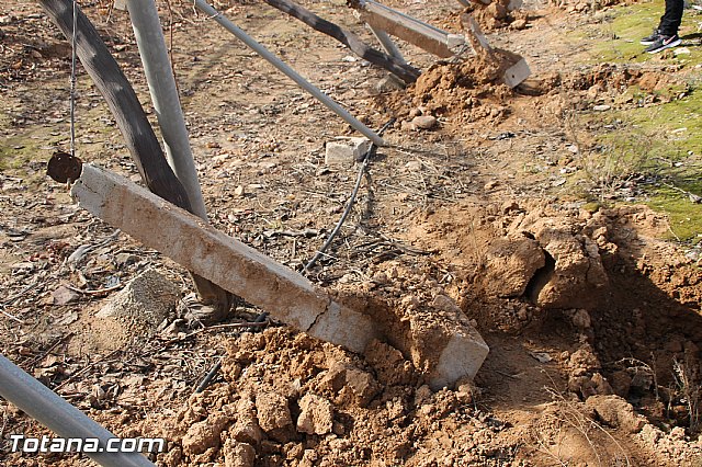 Visita a parrales afectados por la nevada - 45