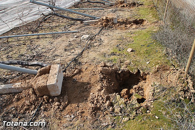 Visita a parrales afectados por la nevada - 52