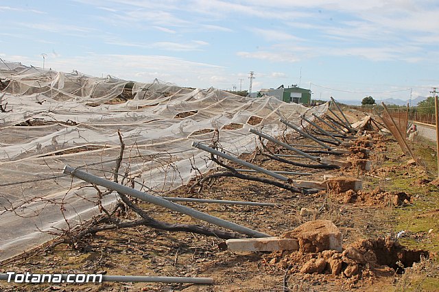 Visita a parrales afectados por la nevada - 53