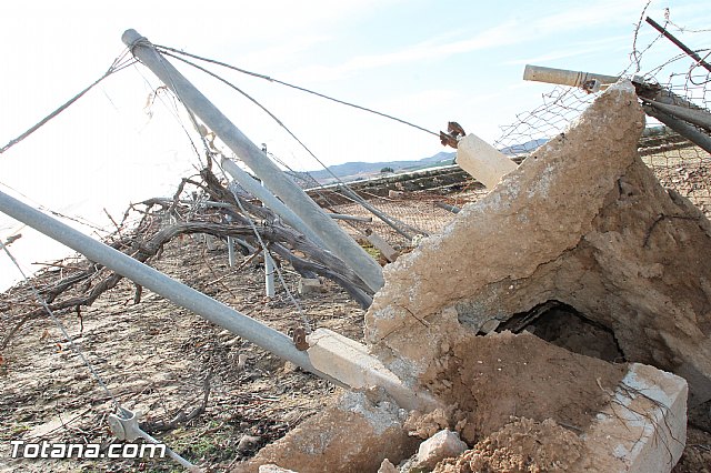 Visita a parrales afectados por la nevada - 59