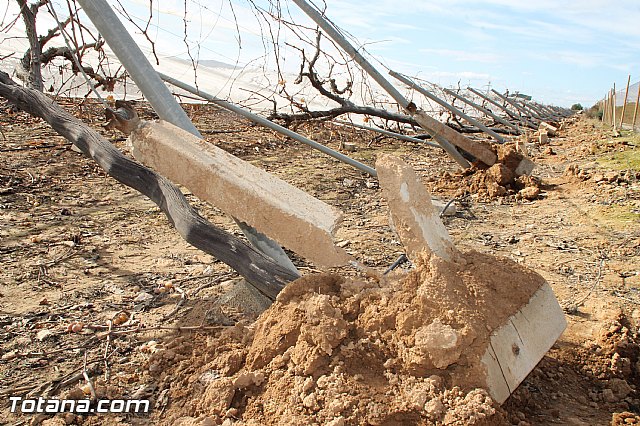 Visita a parrales afectados por la nevada - 61
