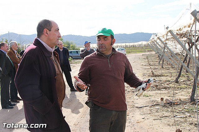 Visita a parrales afectados por la nevada - 64
