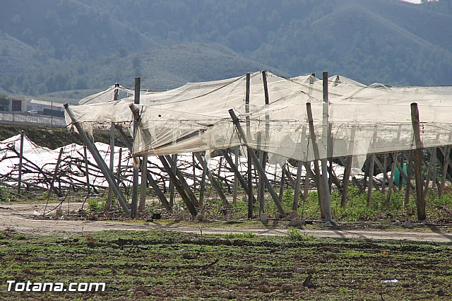 Visita a parrales afectados por la nevada - 67