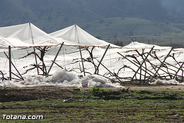 Visita a parrales afectados por la nevada - 68