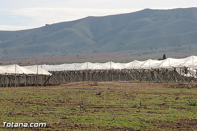 Visita a parrales afectados por la nevada - 70