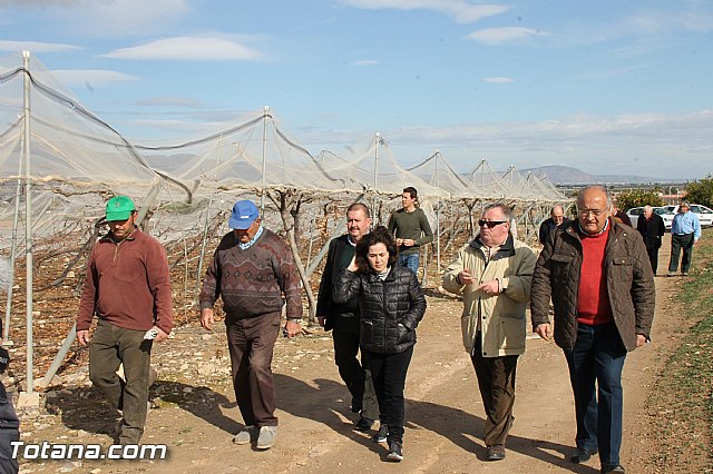 Visita a parrales afectados por la nevada - 71