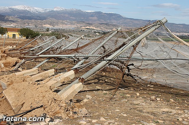 Visita a parrales afectados por la nevada - 85
