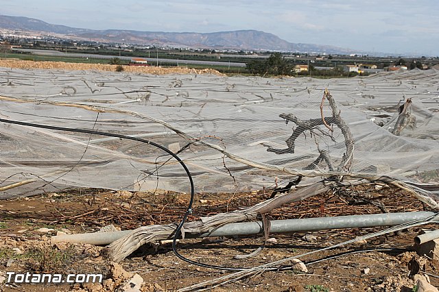 Visita a parrales afectados por la nevada - 86