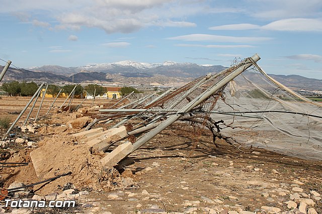 Visita a parrales afectados por la nevada - 88