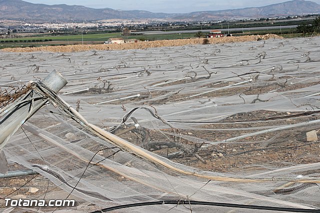Visita a parrales afectados por la nevada - 90
