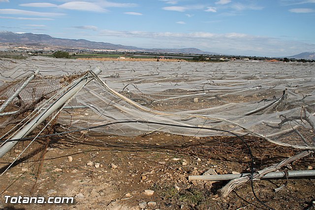 Visita a parrales afectados por la nevada - 91