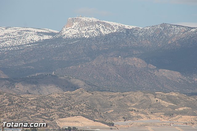 Visita a parrales afectados por la nevada - 107