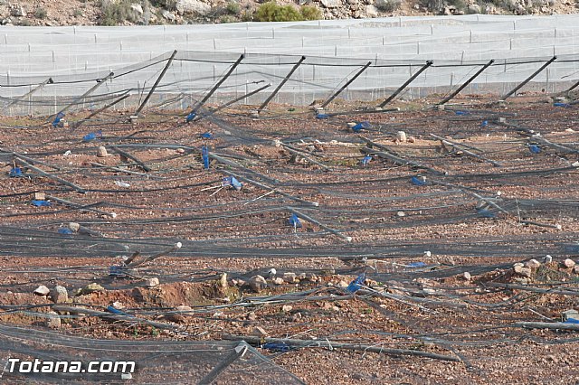 Visita a parrales afectados por la nevada - 114