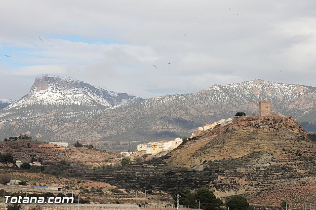 Visita a parrales afectados por la nevada - 117