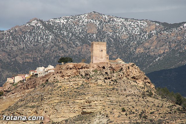 Visita a parrales afectados por la nevada - 118