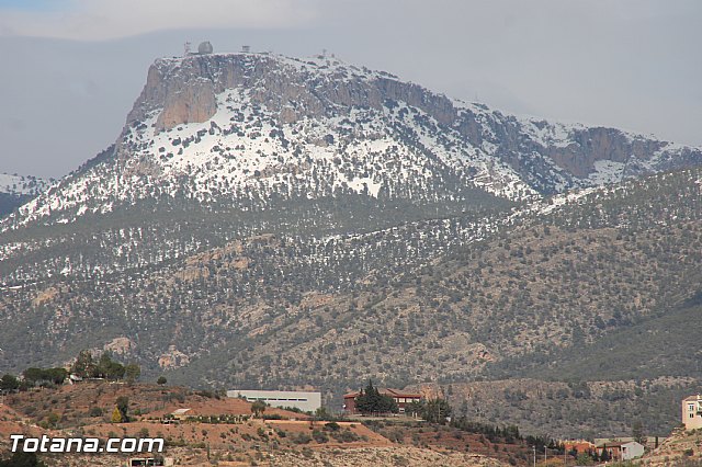 Visita a parrales afectados por la nevada - 119