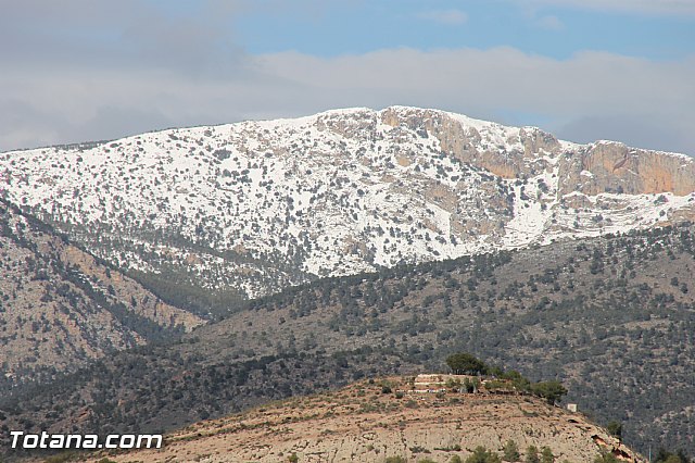 Visita a parrales afectados por la nevada - 120