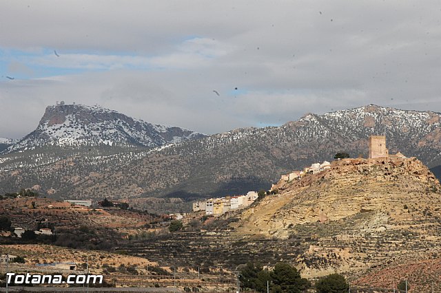Visita a parrales afectados por la nevada - 121